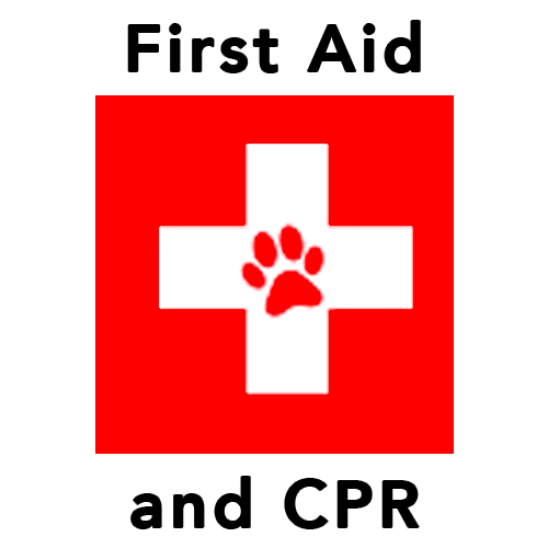 firstaidandCPR K9 First Aid and CPR