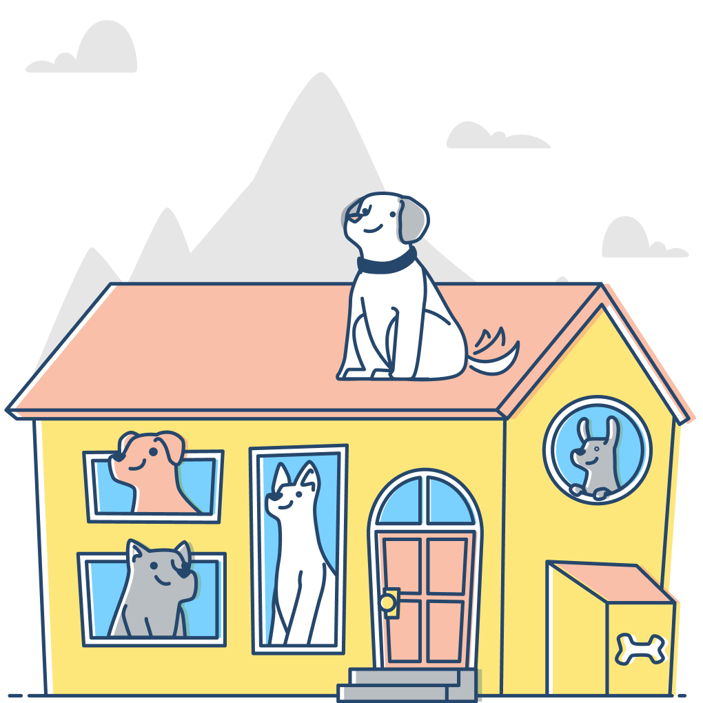 house sitting services